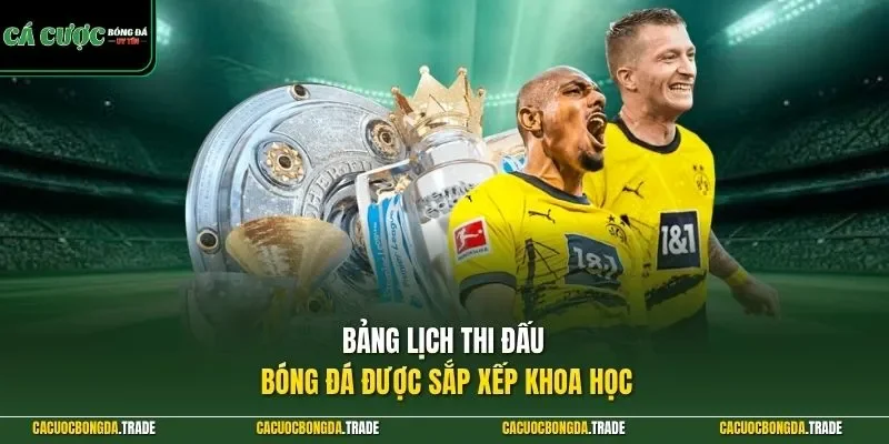 Bảng lịch thi đấu bóng đá được sắp xếp khoa học