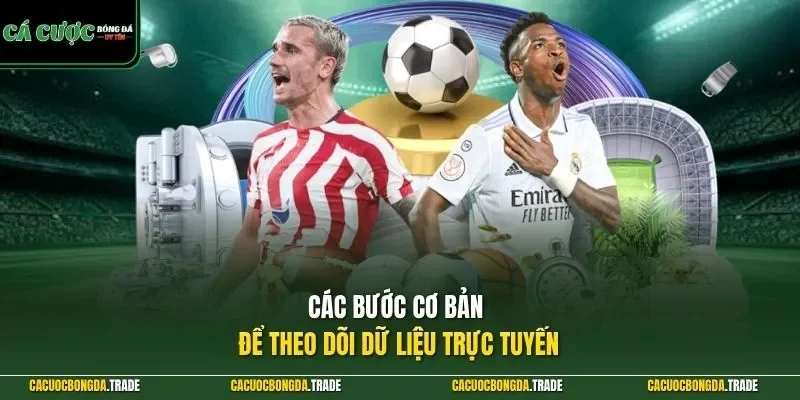 Các bước cơ bản để theo dõi dữ liệu trực tuyến 