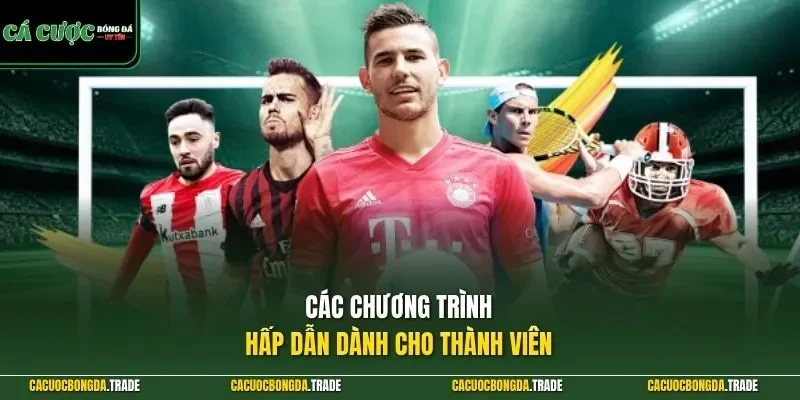 Các chương trình hấp dẫn dành cho thành viên