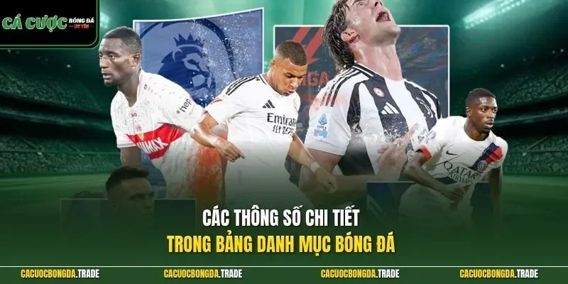 Các thông số chi tiết trong bảng danh mục bóng đá 