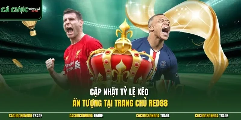 Cập nhật tỷ lệ kèo ấn tượng tại trang chủ RED88