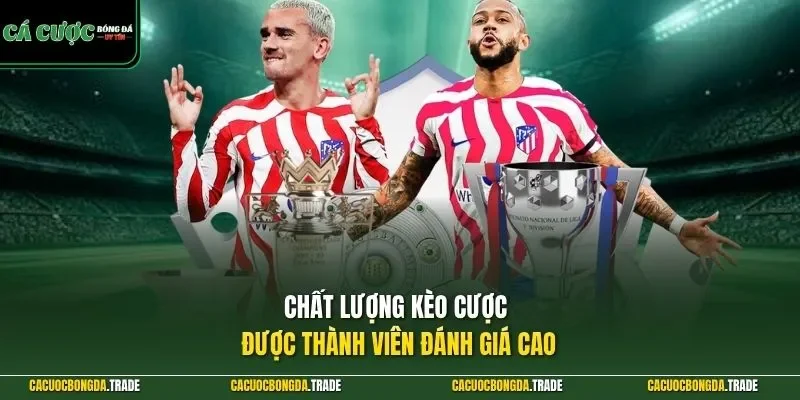 Chất lượng kèo cược được thành viên đánh giá cao