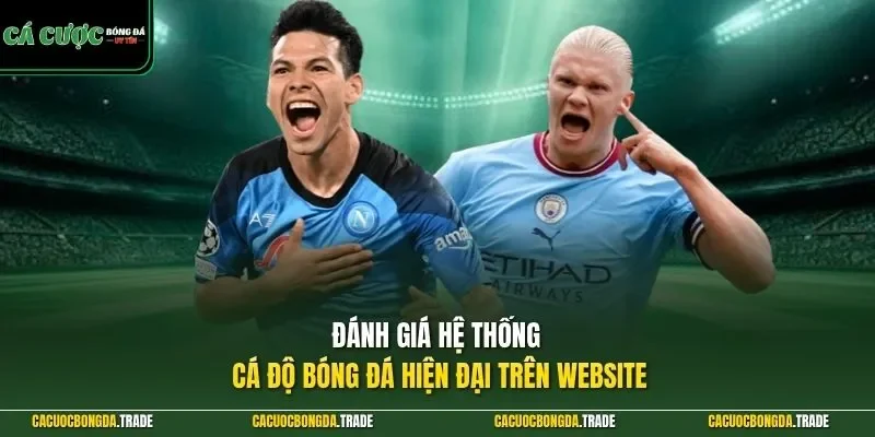 Đánh giá hệ thống cá độ bóng đá hiện đại trên website