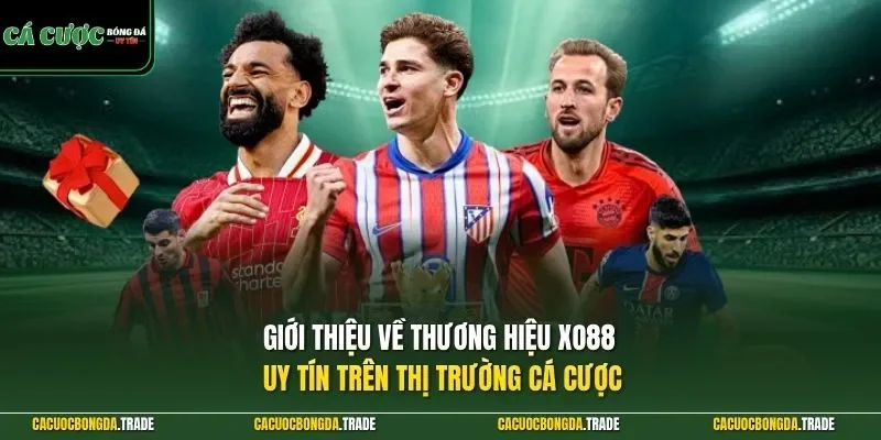 Giới thiệu về thương hiệu XO88 uy tín trên thị trường cá cược