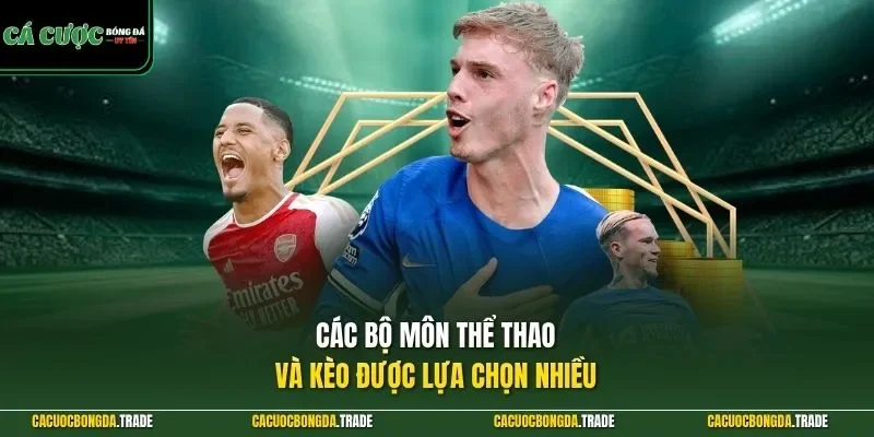 Các bộ môn thể thao và kèo được lựa chọn nhiều