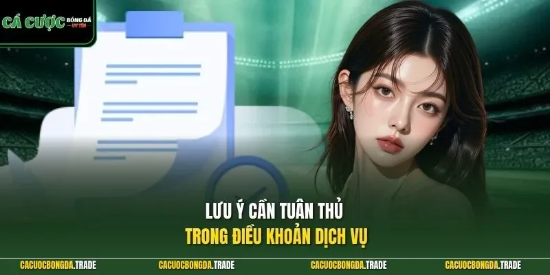 Lưu ý cần tuân thủ trong điều khoản dịch vụ
