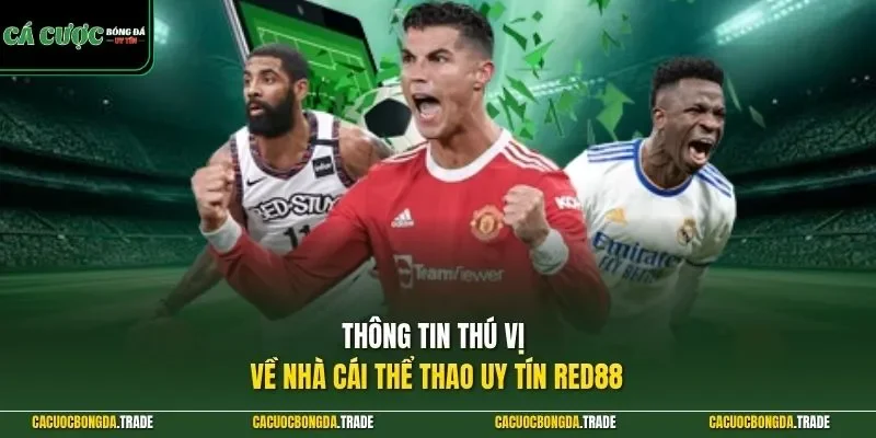 Thông tin thú vị về nhà cái thể thao uy tín RED88