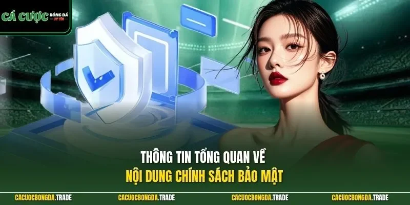 Thông tin tổng quan về nội dung chính sách bảo mật