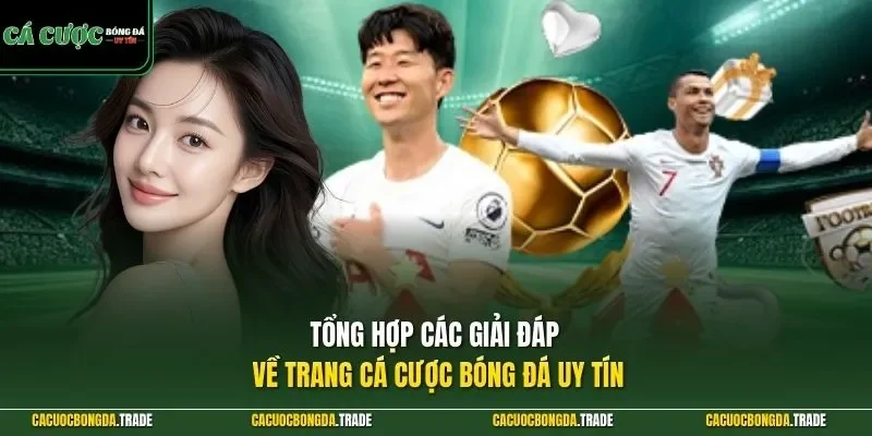 Tổng hợp các giải đáp về trang cá cược bóng đá uy tín