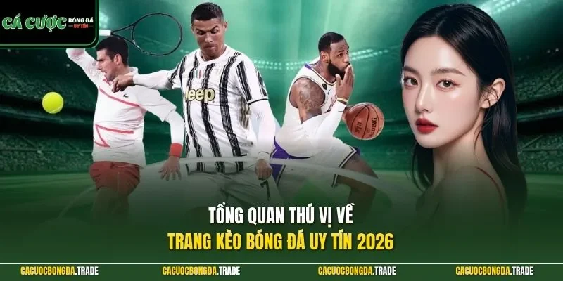 Tổng quan thú vị về trang kèo bóng đá uy tín 2026